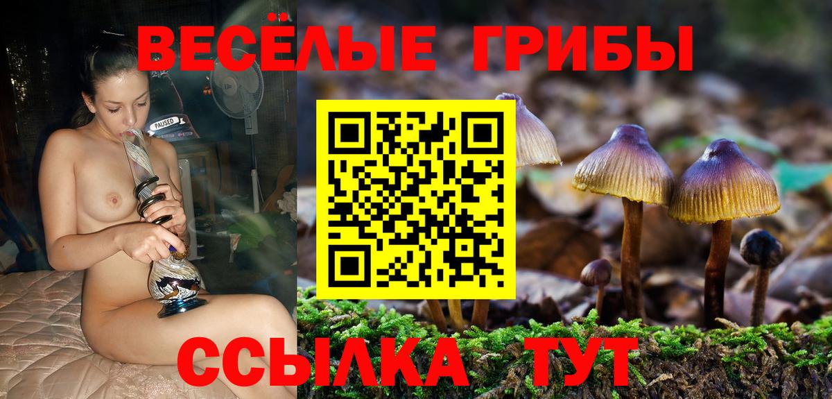 Краснодар  Галлюциногенные грибы мухоморы  Вход с VPN 